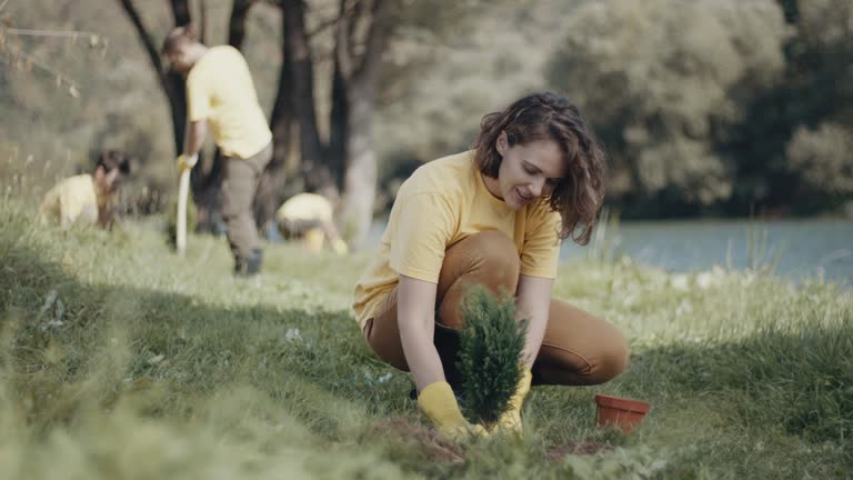 Best Lawn Drainage Solutions  in North Terre Haute, IN